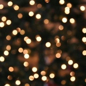 Meet your Posher, Lyndsay